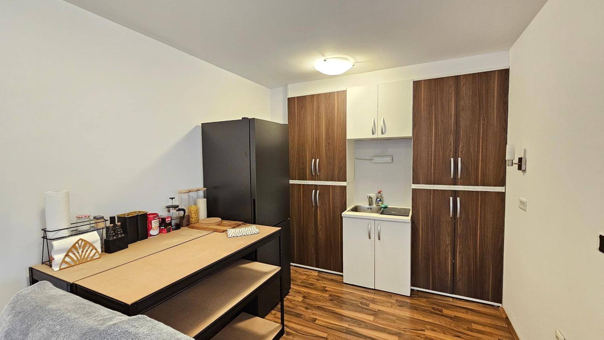 Industrial Vibe Flat Apartma Ljubljana